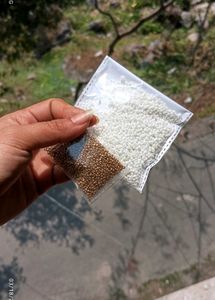 Beads Kit (Mixed Bulk)