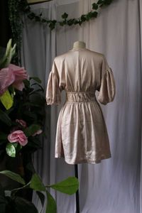 H&amp;M Elegant Champagne Dress