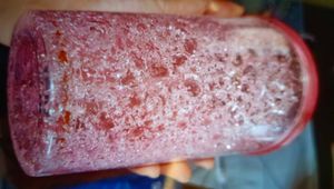 Swizzy Jelly Bottle - Home Kitchen