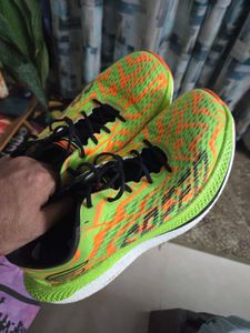 Sport Shoes Skechers