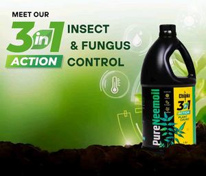 Chipku Pure Cold-Pressed Water-Soluble Neem Oil 1L