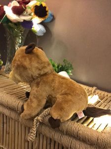 Cute Beaver Plush Set