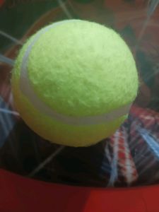 tenis ball