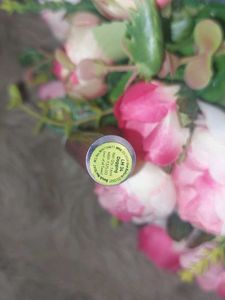 Myglamm liquid lipstick, Shade - Dogging