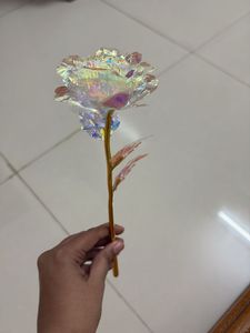 Iridescent Rose Decor