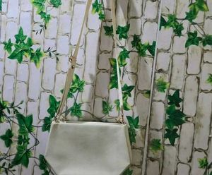 Charles &amp; Keith Clutch