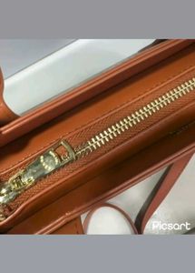 Coach Slingbags