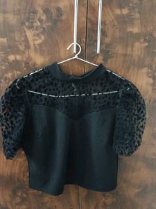 Sheer Sleeve Top