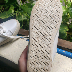 shoe
