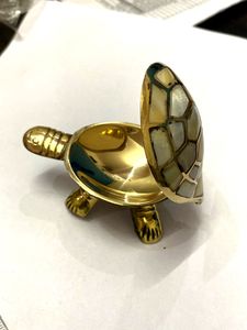 Wish Tortoise