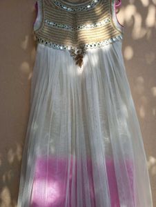 Elegant Ethnic Gown
