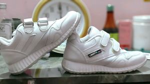 Fully Newly Condition. only Two Month Used