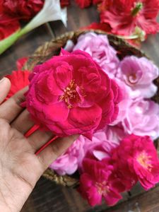 22 Steam Of Flowers 🌺🌹 combo