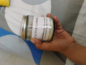 Aromatic Fables Cactus Flower Candle