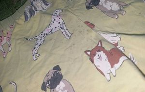 Cute Dog Print Shorts &amp; Yellow Top Set