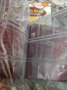 108 Pcs Coin Holder Album Both