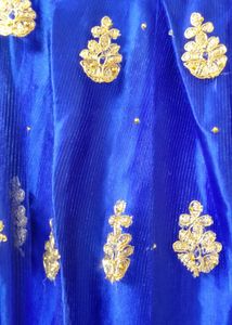 Ethnic Blue Skirt