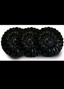 Body Whitening Charcoal Soap