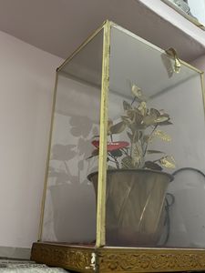 Brass Rose Showpiece in Glass Case