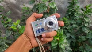 Sony Camera DSC-W320