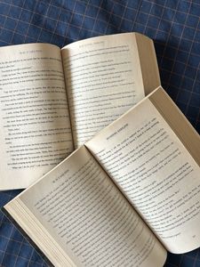 Haunting and hunting Adeline Book Set