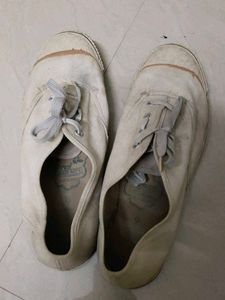 Canvas Mens Shoes