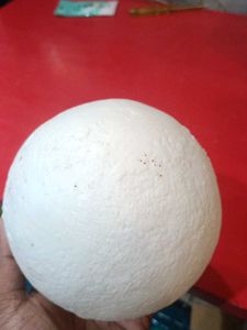 Moon Night Light