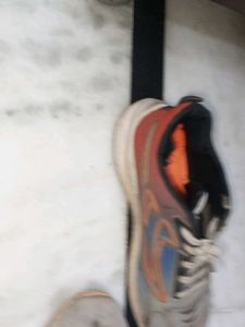 Used Sneakers