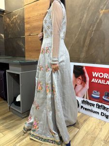 Wedding/Festive Silver Gown With Net Sleeves