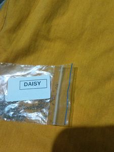 Plant Seeds
