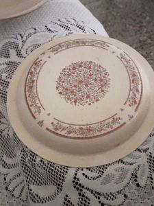 Fiber Lids Cum Plates