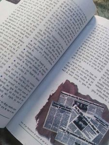 Class 10 Book (Geo Civics,Eco)Up Board