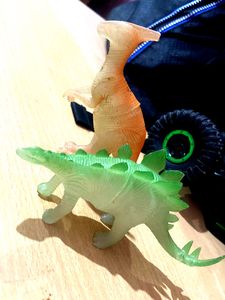 Awesome Transparent Soft Toys