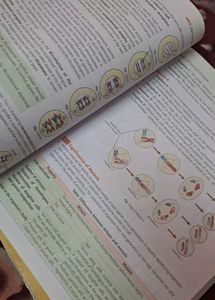 MTG Biology Stugy Material For Neet Aspirants