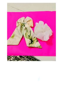 Crunchy And Hair Bow