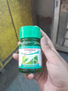Cyprosik,ket 100ml Ka Kira Ke Liye Dawa Kisi Bhi