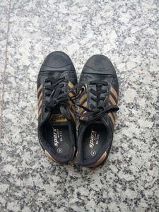 Shoe