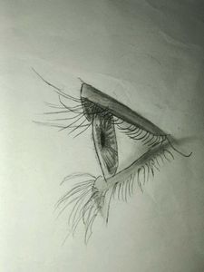 Eye Sketch Artwork