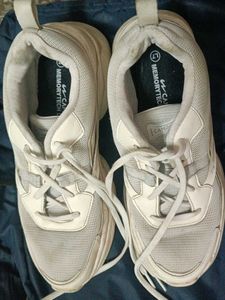 CAMPUS SHOES
