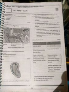 ✨New💙 Prepladder ENT RR-5.0 fmge Notes 🤍
