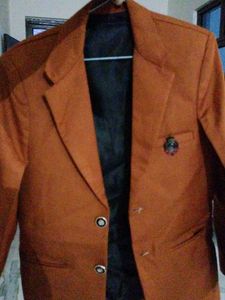 Attractive Brown Colour Coat