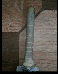 Cricket Bat