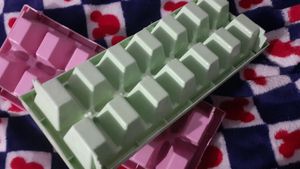 New 2PCS ICE TRAYS