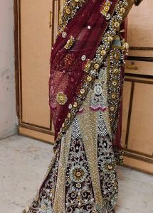 Bollywood style expansive 💯🔥 half lehanga saree