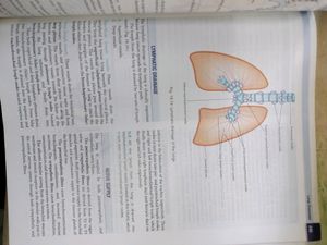 Vishram Singh Anatomy Upper Limb And Thorax
