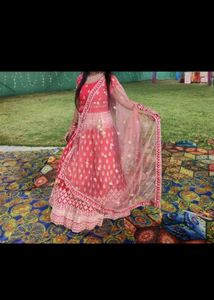 Coral Embroidered Lehenga Choli