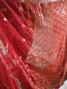 Full Sequence Saree Havey Pallu