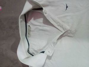 Polo T-shirt For Men