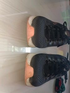 Skechers Shoe