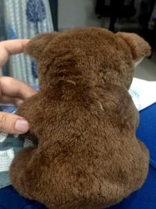 Brown Teddy Bear